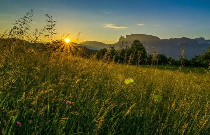 Appartments Neuhof - Photo 5