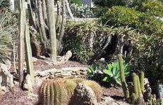 Passione Mare - Foto 38