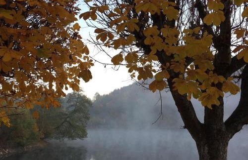 Ritterstube - Eifelstuben mit Charme, Nähe See und Burg, außergewöhnlich, Vulkaneifel - Photo 71