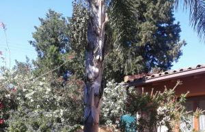 Villa Carati - Foto 29