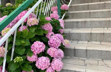 Apartments by the sea Kuciste - Perna, Peljesac - 4540 - Photo 7