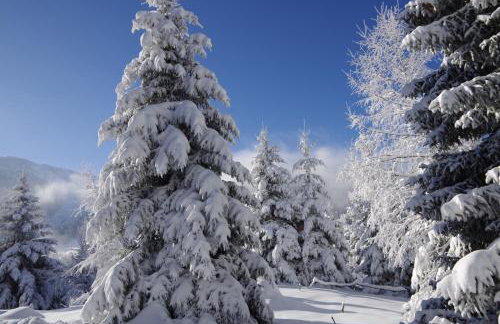 Studio Appartement Grand Serre - Foto 16