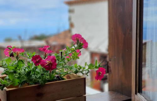 Viña Camello - Foto 47