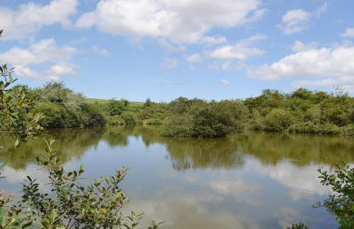 Little Owl Lodge - Foto 15