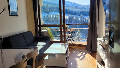 Lumineux 2 pièces vue montagne au pied des pistes avec parking privé - Foto 5