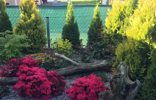 Domki Letniskowe Amelia - Foto 35