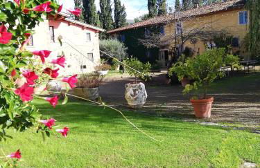 Podere Piandarca - Photo 78