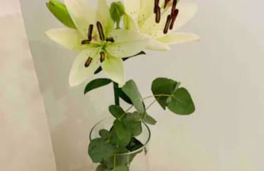 Puerto Banus - Photo 42