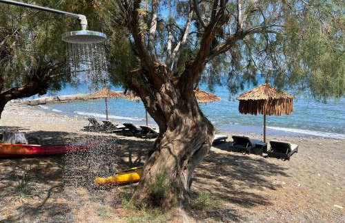 Nikkon Luxury Living - Foto 48