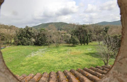 Domaine De Sigalous - Foto 16