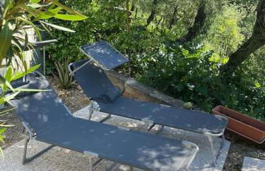 Casa Marina - Photo 16