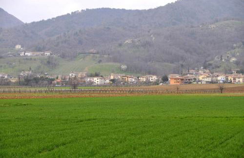 Sant'Andrea Agriturismo con cantina Martignago Vignaioli Asolo Prosecco Docg Wines - Foto 76