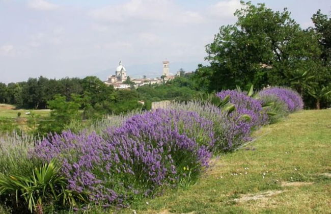 Arriga Alta - Foto 28