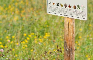 Domandi mountain holiday lodges - Foto 55