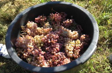 Casa de Ladreda - Foto 38