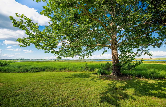 Room 04 - Lake Sumner - Foto 9