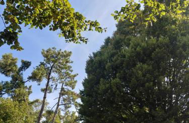 La Parent'aise - Foto 8