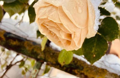 Charmante maison au coeur d'un village auvergnat - Foto 67