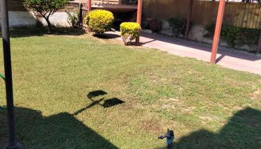 Max House - Foto 4, Garden