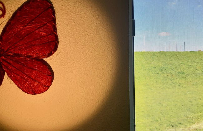 Cozy Holiday Home by the Dike in a Quiet Location at Lauwersmeer - Foto 38