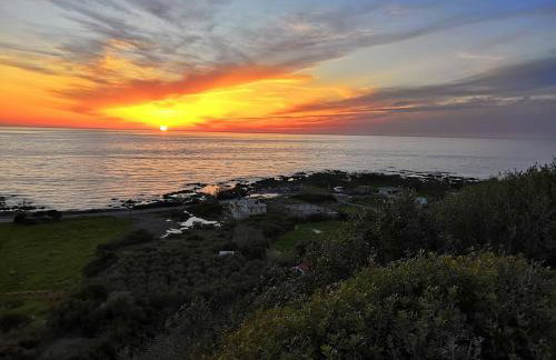 Tranquility House - Foto 38