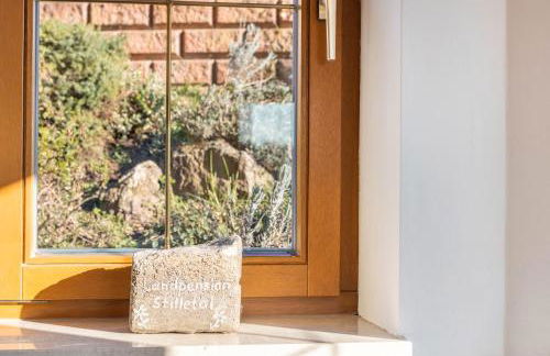 Pension Stilletal - Springstille - Foto 24