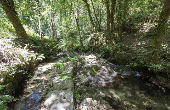 Moinho da Varzea Mill House & Hot Tub - Foto 27