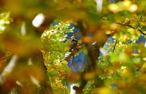 Casa Vacanze La Villa - Foto 30