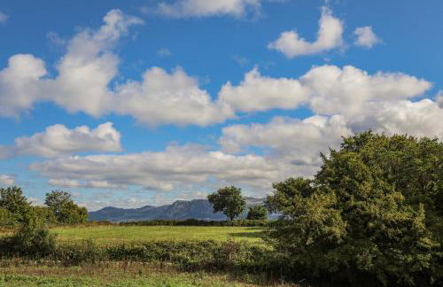 The Stables - Photo 52