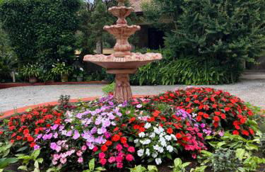 Vila Adega Maravilha - Foto 9