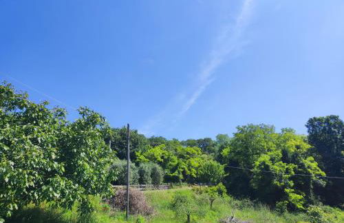 Residence Magnolia - Photo 4