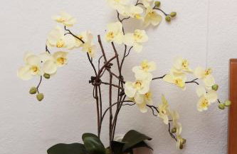 Apartments Vila ViDa Orebić - Photo 53