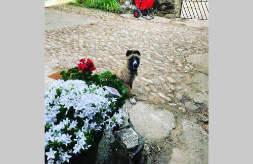 CASA LA BIERA - Foto 33