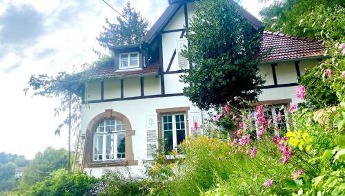 LA VILLA DES OISEAUX - La Petite Pierre - Foto 3, Garden