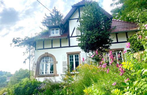 LA VILLA DES OISEAUX - La Petite Pierre - Foto 3