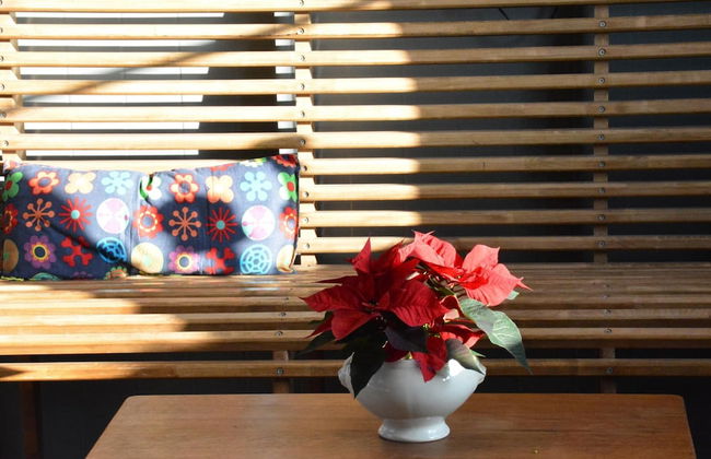 Railway Stay in Ardennes - Foto 21