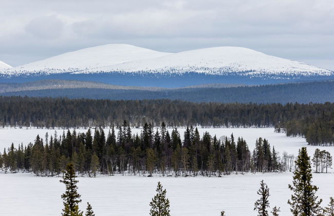 Lappi dream house - Foto 32