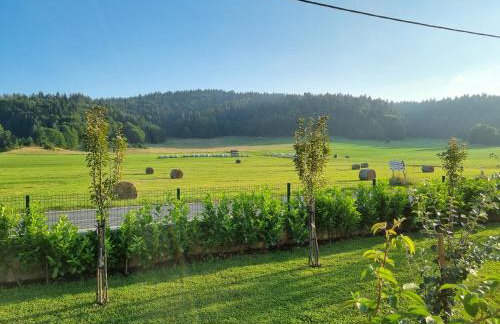 Villa Lady Di Plitvice - Foto 79