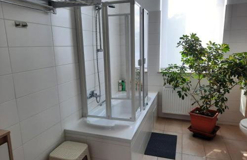 Gästewohnung Alt Salbke mit Küche - Foto 30