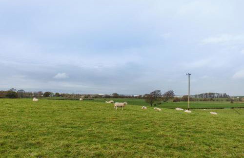 The Paddock at Brickrow Farm - Foto 41