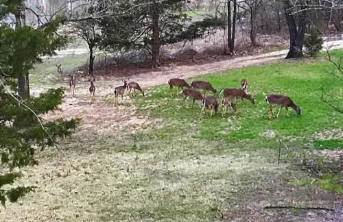 Happy Hideaway - Foto 31