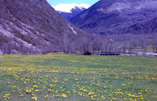 Apartamentos L´Era de Baix - Foto 38
