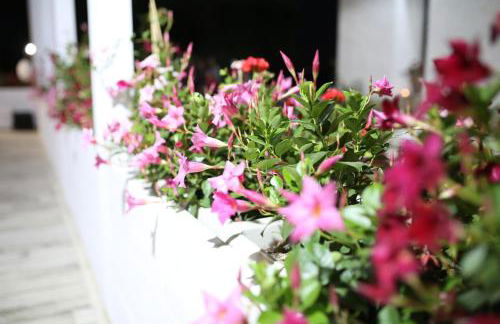 Agriturismo Masseria Mascitelli - Foto 28