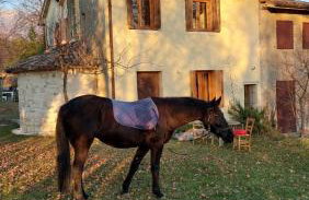 La Caneveta al Piave - Foto 28