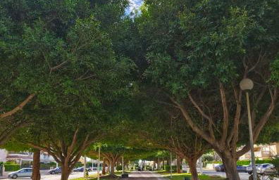 Light Blue Apartment Orihuela Costa - Foto 37