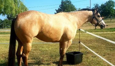 Azienda Agricola Cascina Monticone - Foto 5