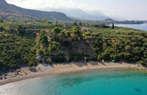 Mani Theasis - Foto 62