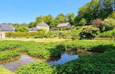 BEL APPARTEMENT CENTRE VEULES LES ROSES 1 CHAMBRE MER 300 M - Foto 14