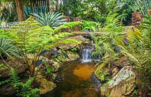 Loft Igarapé conforto integrado coma natureza - Photo 27