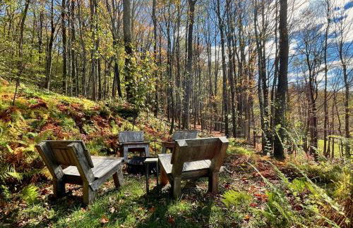 Fireplace Catskill Views Overlook Lake Cabin - Foto 65